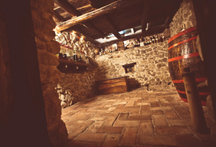ČAROBNI SAMOBOR I DEGUSTACIJA RAKIJE_1