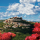 PLAVO - ZELENA ISTRA - ROVINJ - MOTOVUN