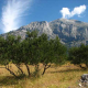 BIOKOVO