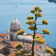 ZADAR I ŠIBENIK –  DALMATINSKI DIPTIH